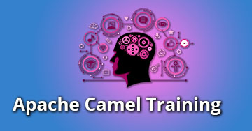 Apache Camel Training